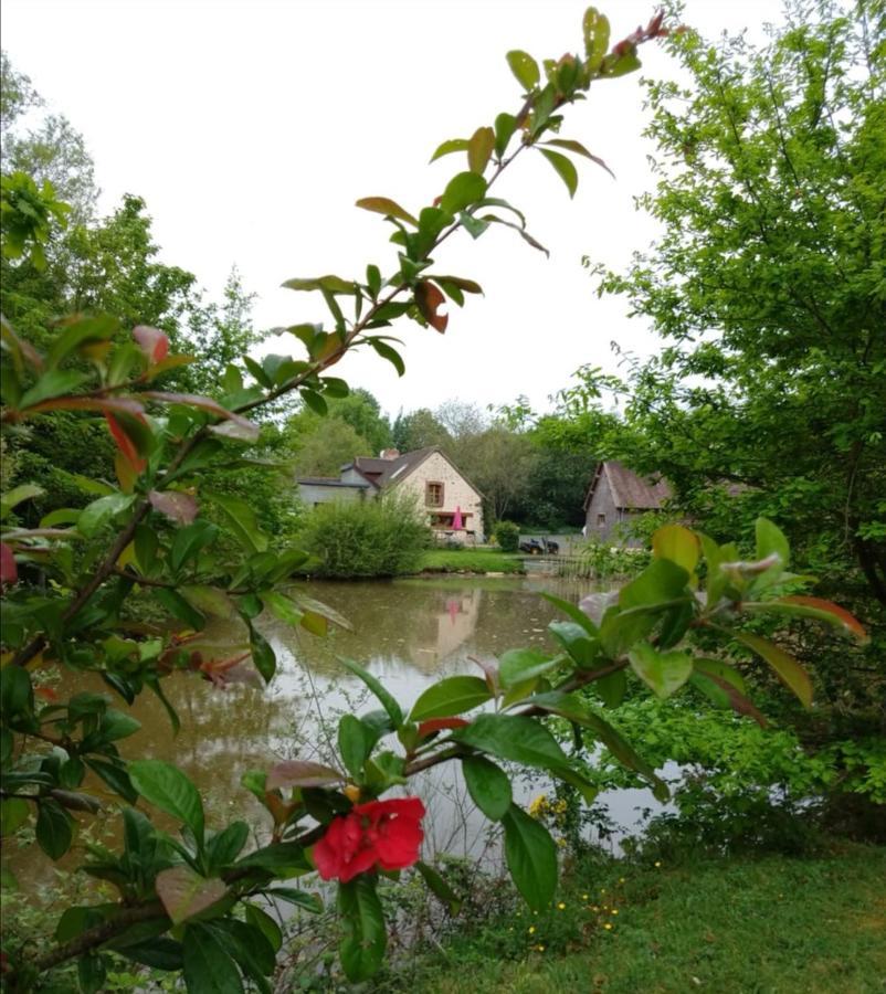 Willa 24H Le Mans - Les Haies Gite, Near Le Mans Circuit Coulans-sur-Gée Zewnętrze zdjęcie